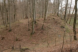 Burgstall Rothenfels - Ansicht aus südlicher Richtung (März 2012)