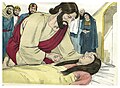 Luke 08:54 Jesus restores Jairus' daughter to life