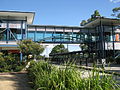 Griffith University busway station.