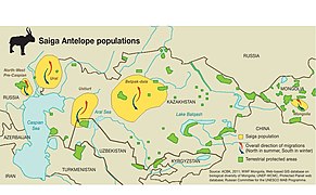 Saiga Antelope populations Map.jpg