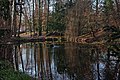 Schlossparkteich im Winter