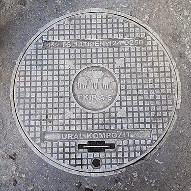 Zanzibar manhole cover with elefants