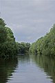 Danube Delta