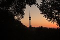 * Nomination View from the Luitpoldhügel on the Olympiaturm with afterglow. --DavidJRasp 10:31, 25 June 2021 (UTC) * Promotion  Support Good quality. --Steindy 21:17, 25 June 2021 (UTC)