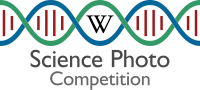 European Science Photo Competition in Ukraine