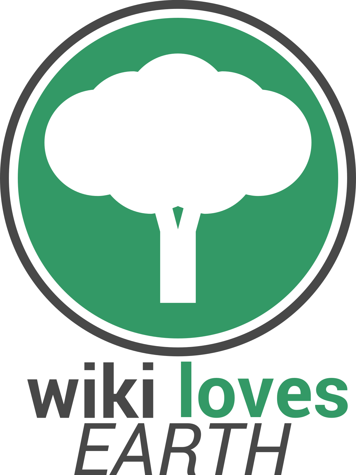 WLE 2015 logo