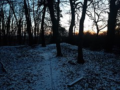 Waldrand Daubenrath mit Erdwällen und Schnee.jpg