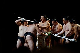 大相撲川崎場所 2017 (33888979592).jpg