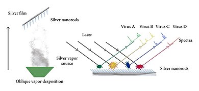 595768.fig.003b.jpg