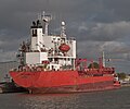 Gorgonilla in Bremerhaven harbor