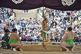 Harumafuji-1.jpg