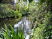 The Yeading Brook