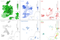 2002 general election, seats per constituency