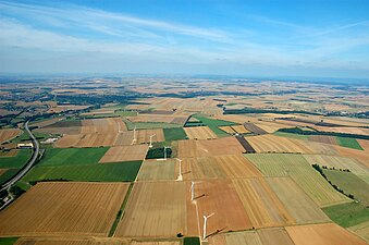 Paysage d'openfield en Normandie