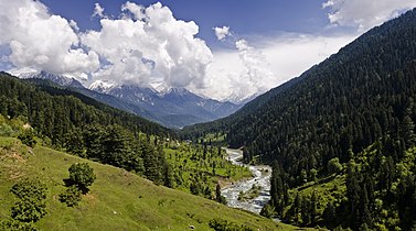 Pahalgam Valley.