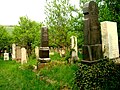 Cimitirul Evreiesc din cartierul Turda Nouă Hebrew cemetery ("Turda Nouă" Square)