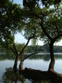 jez. Rusałka (Rusałka Lake)