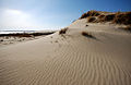 Dunes in Nida.