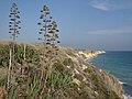 Coastline on Cyprus