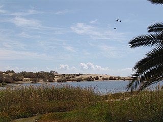 Important Bird Area "La Charca"