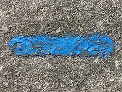 Trail marker on one of the blue paths of the Fontainebleau forest.jpg