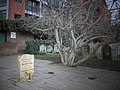 Memorial in London