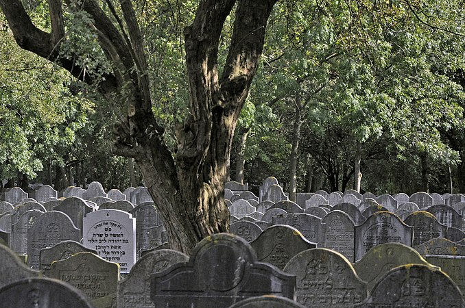 2. Field A of the Jewish cemetery in Diemen. Author: Frederik Balhuizen. License: CC-BY-SA-3.0