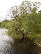 Old Mill Site - North New Portland, Maine (4616798499).jpg