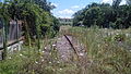 Stazione di Cecchina-Genzano - Binario 1