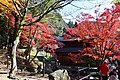 Jōkō-ji / 定光寺