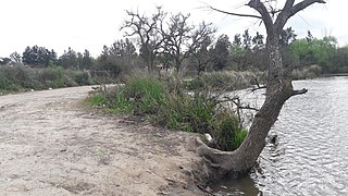 Belén de Escobar, Buenos Aires Province, Argentina - panoramio - Hebert Coello (3).jpg