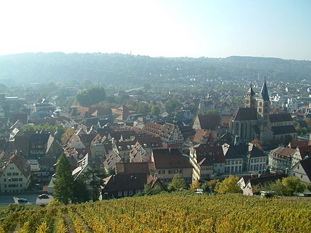 Blick von der Burg