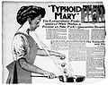 Article about Typhoid Mary.