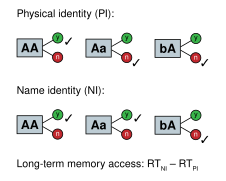 Posner letter matching task.svg