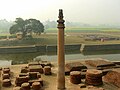 Edicts of Ashoka