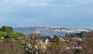 Dentelles vue de Carpentras.JPG