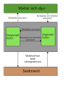 Phosphorcycle in aquariums