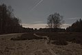 Naturschutzgebiet Schavener Heide bei Nacht