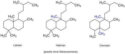 Labdan zu Haliman und Clerodan ohne Stereochemie SV0.svg