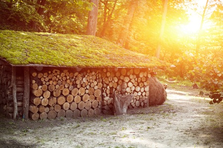 Wooden house with accurately precisely gathered together firewood logs with beutiful sunset on the background Reklamní fotografie