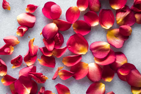 Pétalos de rosa sobre fondo de mármol, decoración floral y flatlay de boda, fondo de tarjeta de felicitación de vacaciones para invitación de evento, diseño plano Foto de archivo