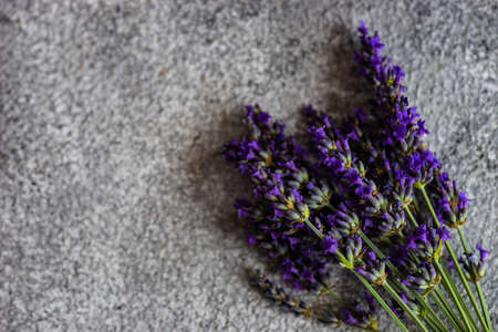 Fresh lavender flowers on rustic background with copy space Stock Photo