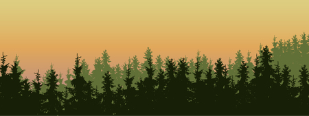 Wide screen vector illustration of a green coniferous forest with spruces and pines in three layers under a orange morning sky with space for text