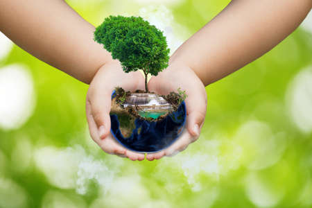 World environment day concept earth day earth and tree on hands