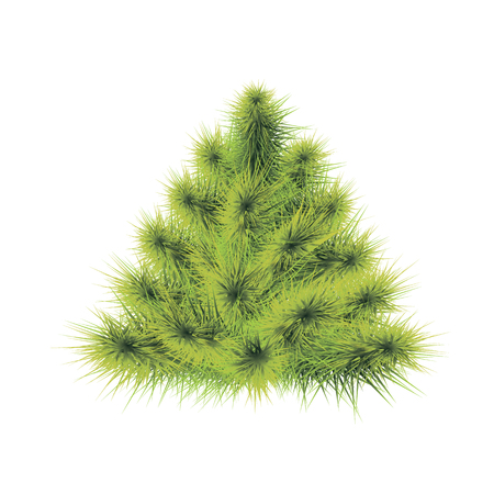 Green fluffy christmas tree on a white background Фото со стока