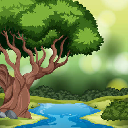 A forest background scene illustration Stock Photo