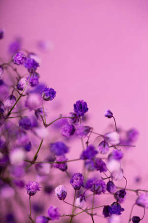 Small purple flowers delicate floral spring background vertical photo with selective focus