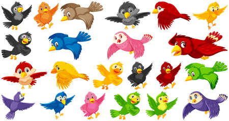Conjunto de ilustración de personaje de dibujos animados de aves