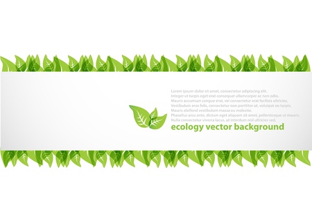 Modern ecology background