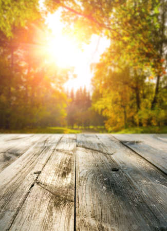 Mesa de madera en el bosque de otoño al atardecer